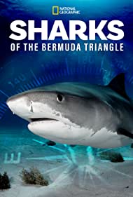 Watch Full Movie :Sharks of the Bermuda Triangle (2020)