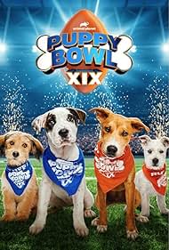 Watch Full Movie :Puppy Bowl XIX (2023)