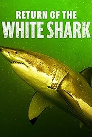 Watch Full Movie :Return of the White Shark (2023)