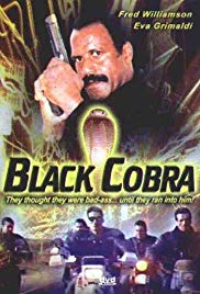 Watch Full Movie :Cobra nero (1987)