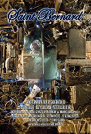Watch Full Movie :Saint Bernard (2013)